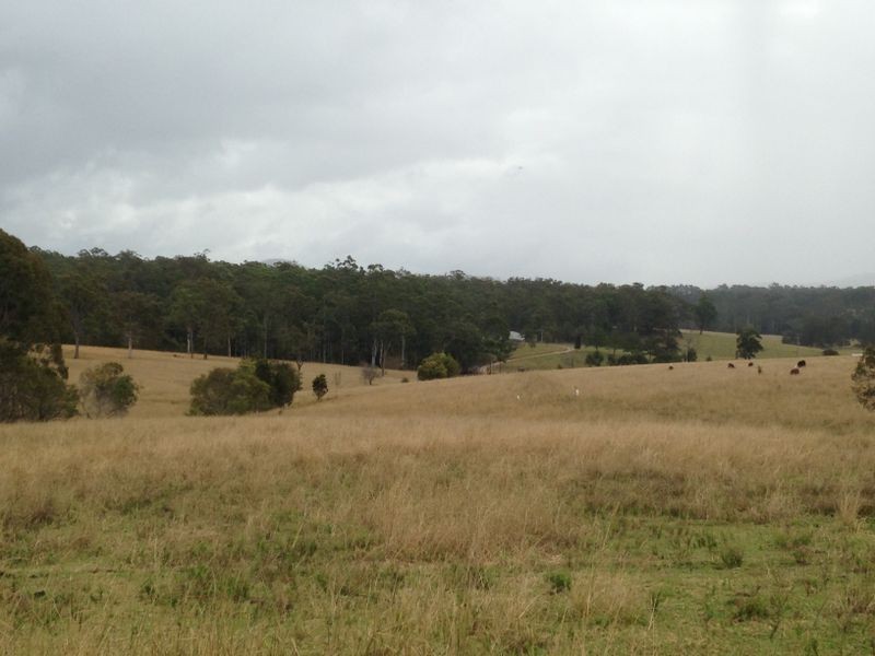 Lot 3 Neville Road, Beechwood NSW 2446