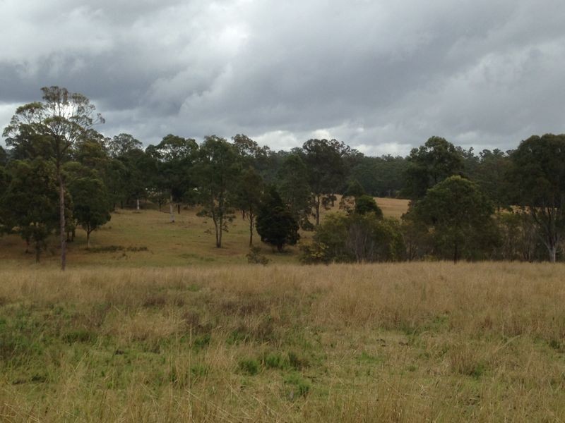 Lot 3 Neville Road, Beechwood NSW 2446