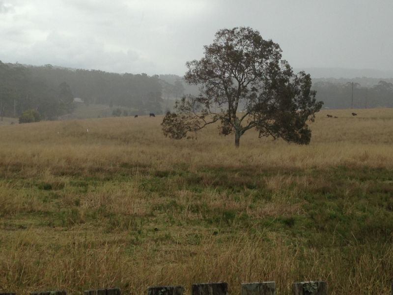 Lot 3 Neville Road, Beechwood NSW 2446