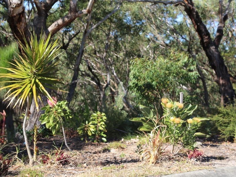 17 Birramal Drive, Dunbogan NSW 2443