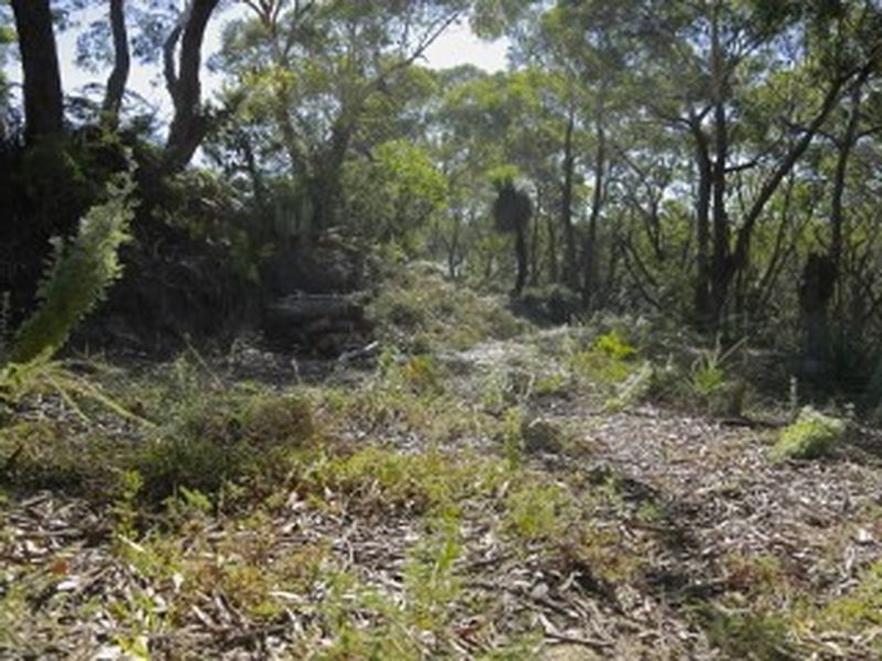 17 Birramal Drive, Dunbogan NSW 2443