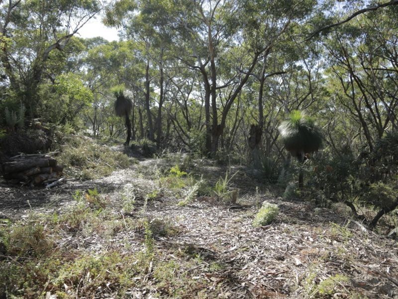 17 Birramal Drive, Dunbogan NSW 2443