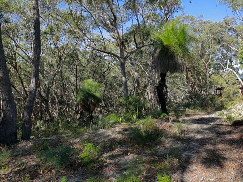 17 Birramal Drive, Dunbogan NSW 2443