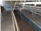1496 Pipe Clay Road, Pipeclay NSW 2446