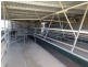 1496 Pipe Clay Road, Pipeclay NSW 2446