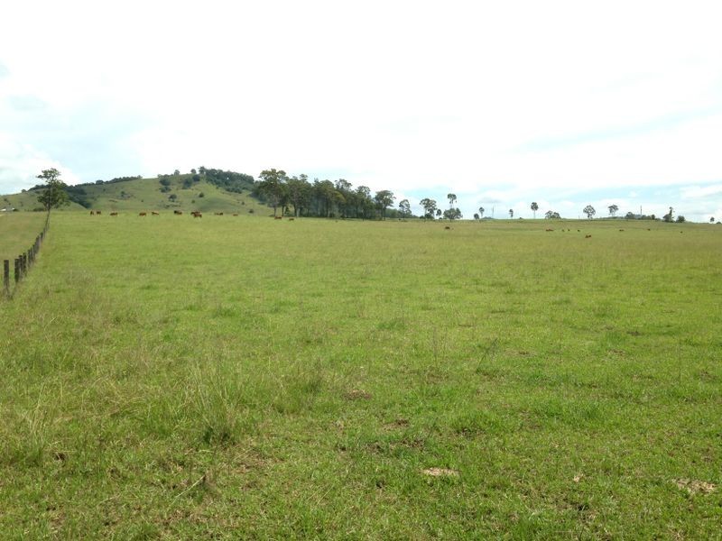 1496 Pipe Clay Road, Pipeclay NSW 2446