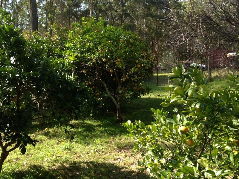 135 Oak Ridge Road, King Creek NSW 2446