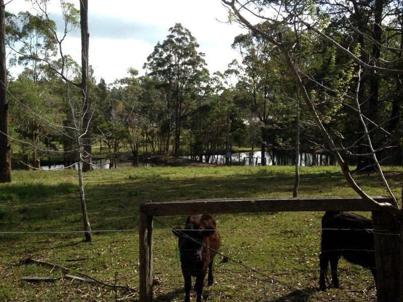 135 Oak Ridge Road, King Creek NSW 2446