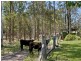 135 Oak Ridge Road, King Creek NSW 2446