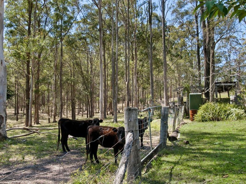 135 Oak Ridge Road, King Creek NSW 2446