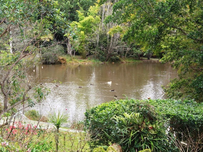 35 River Oaks Drive, Kendall NSW 2439