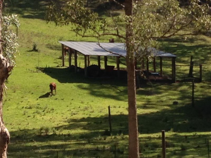 9 Figtree Valley Road, Yarras NSW 2446