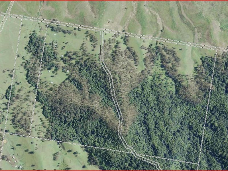 9 Figtree Valley Road, Yarras NSW 2446