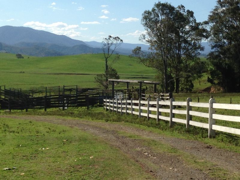 9 Figtree Valley Road, Yarras NSW 2446