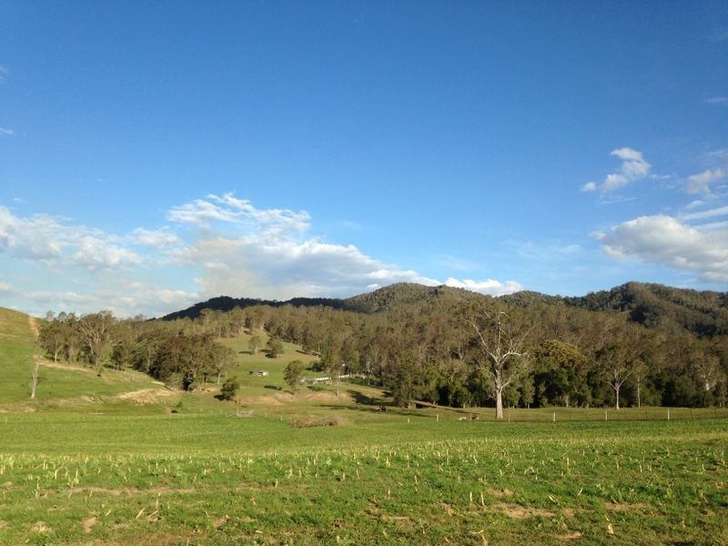 9 Figtree Valley Road, Yarras NSW 2446