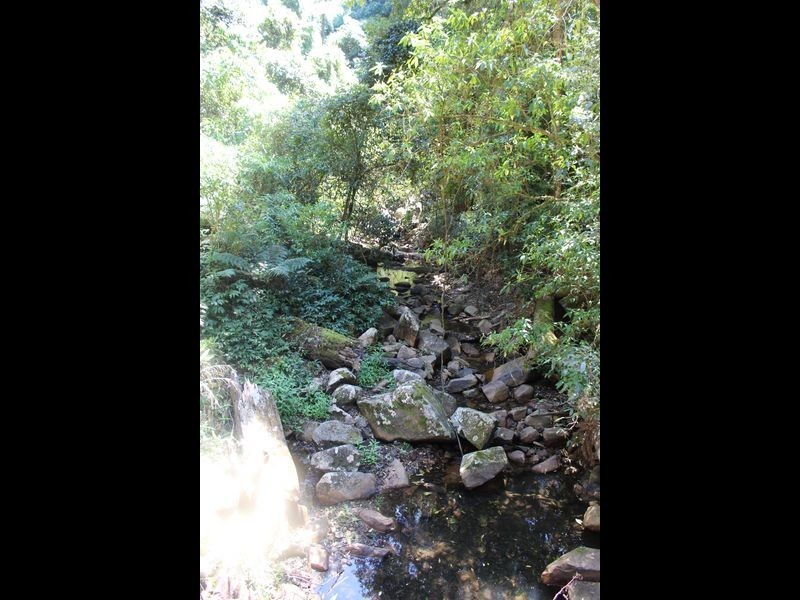 317 Rollans Road, Birdwood NSW 2446