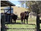 317 Rollans Road, Birdwood NSW 2446