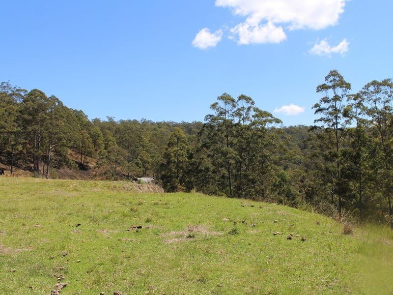 317 Rollans Road, Birdwood NSW 2446