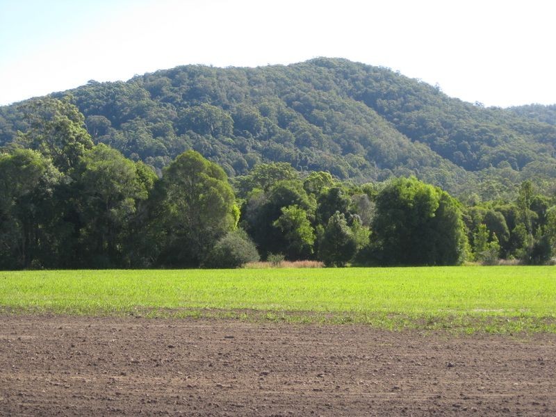 Lot 1 Riverside Park Estate Logans Crossing, Kendall NSW 2439