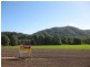 Lot 10 Riverside Park Estate, Logans Crossing NSW 2439