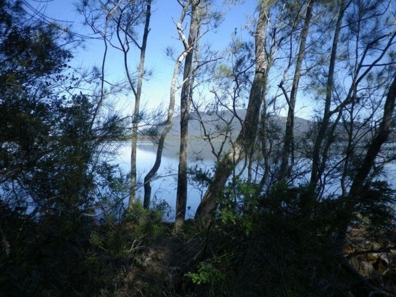 Bonny Hills NSW 2445