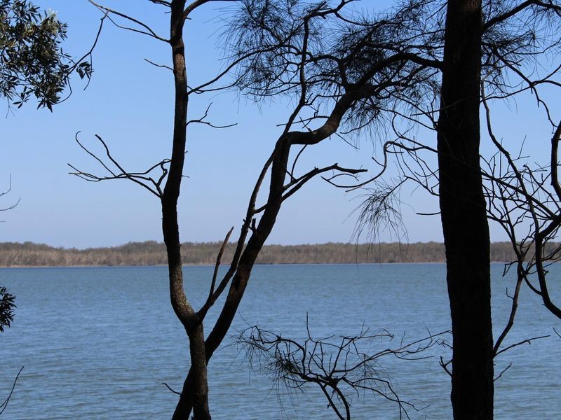 Bonny Hills NSW 2445