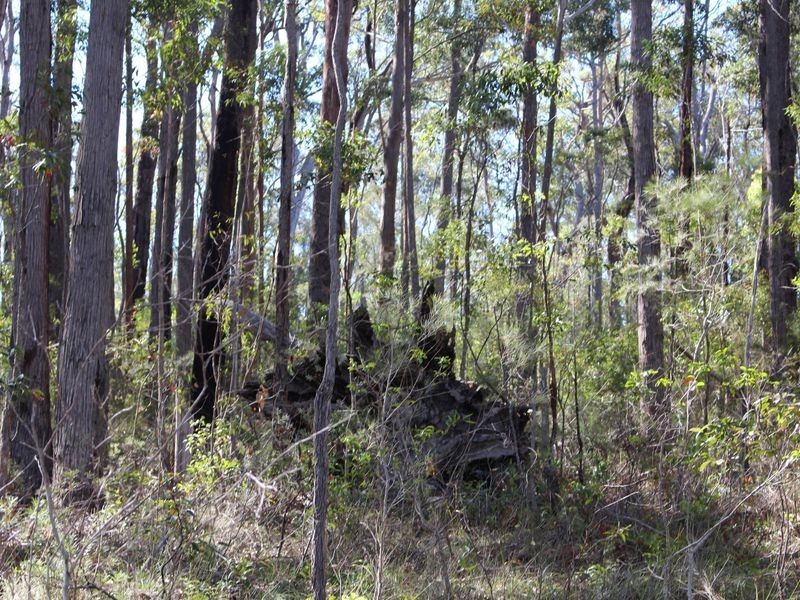 Bonny Hills NSW 2445