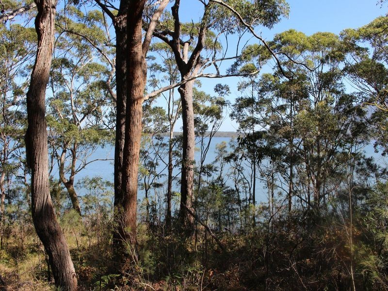 Bonny Hills NSW 2445