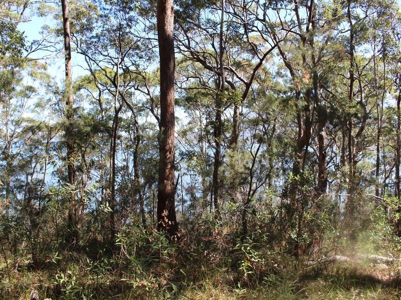 Bonny Hills NSW 2445