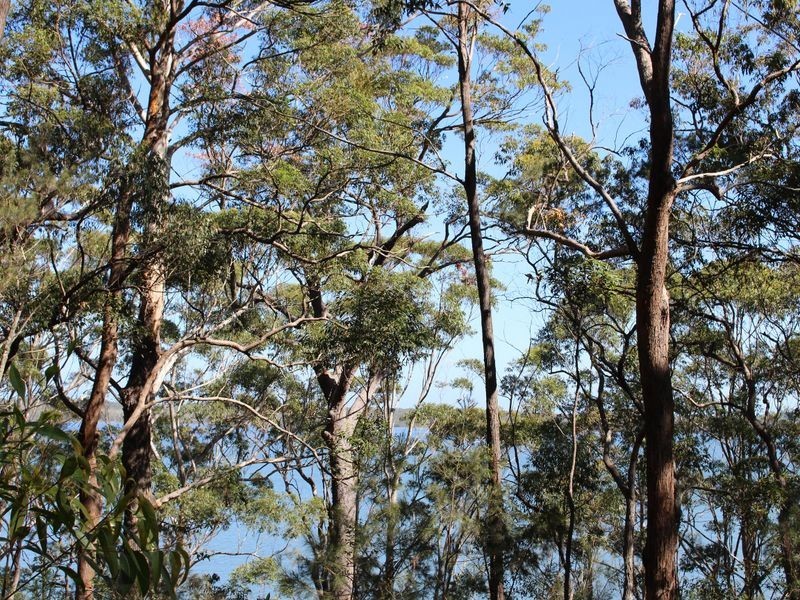 Bonny Hills NSW 2445