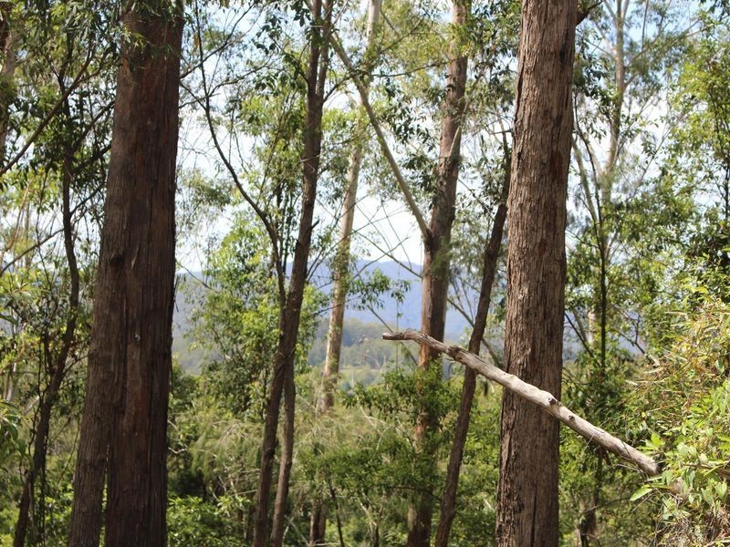 Lot 86 & 9 Upsalls Creek, Lorne NSW 2439