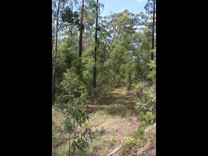 Lot 86 & 9 Upsalls Creek, Lorne NSW 2439