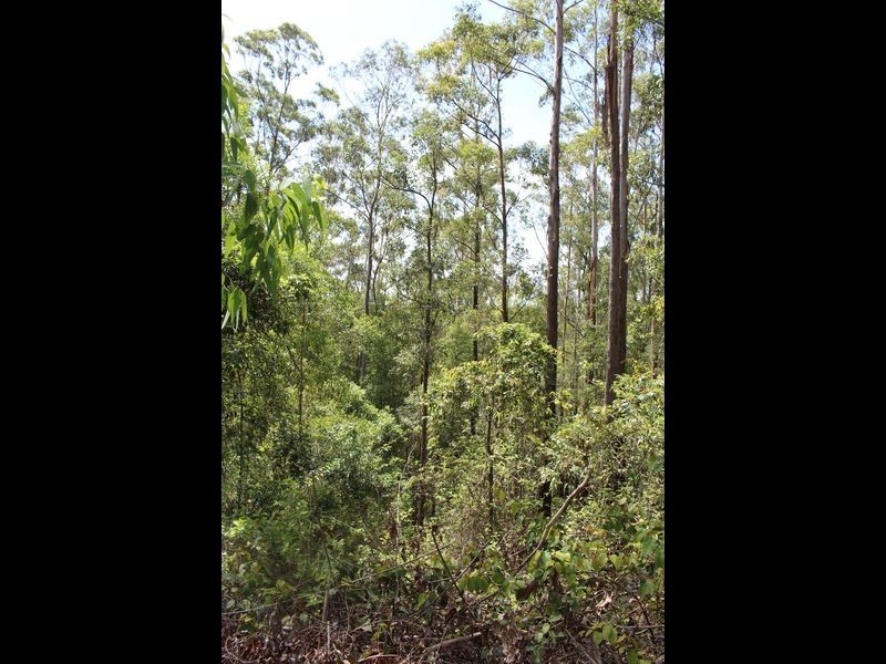 Lot 86 & 9 Upsalls Creek, Lorne NSW 2439