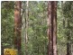 Lot 86 & 9 Upsalls Creek, Lorne NSW 2439