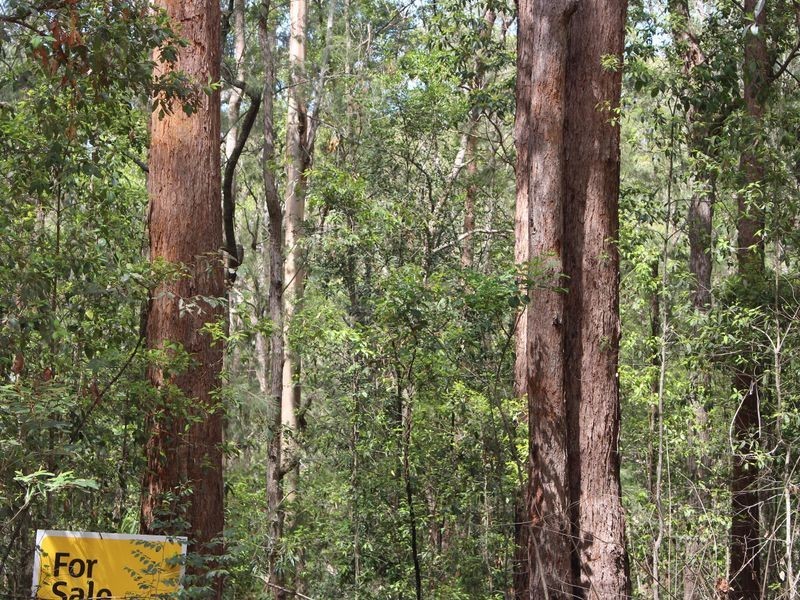 Lot 86 & 9 Upsalls Creek, Lorne NSW 2439