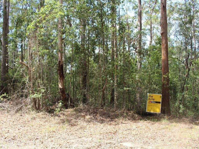 Lot 86 & 9 Upsalls Creek, Lorne NSW 2439