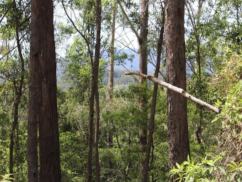 Lot 86 & 9 Upsalls Creek, Lorne NSW 2439