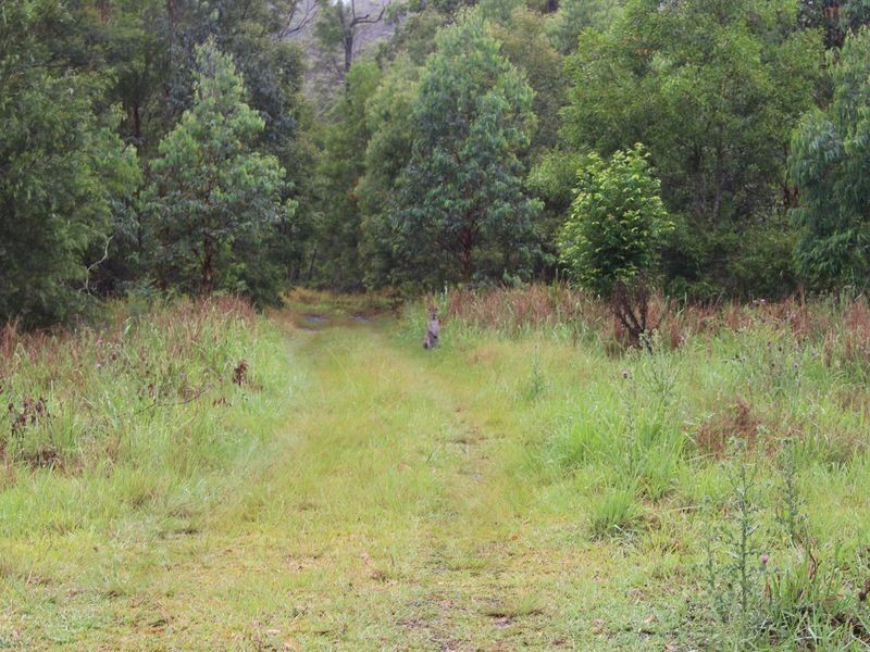 Lot 71 & L Rob Roy Road, King Creek NSW 2446