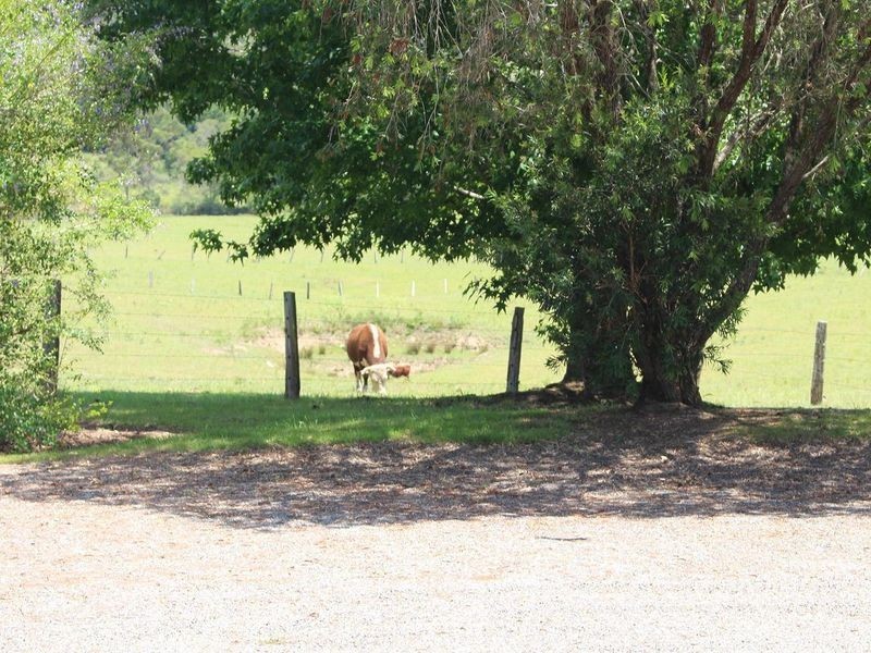 45 Fishers Ridge Road, Beechwood NSW 2446