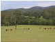 45 Fishers Ridge Road, Beechwood NSW 2446