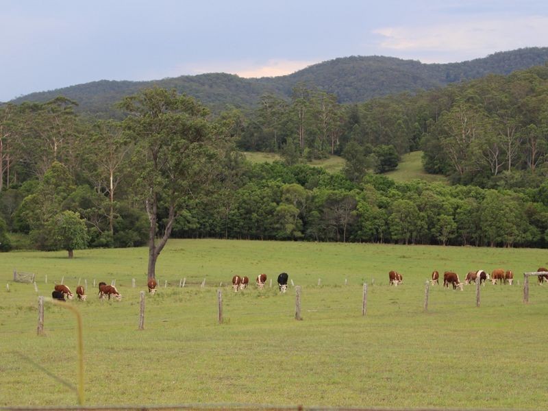 45 Fishers Ridge Road, Beechwood NSW 2446