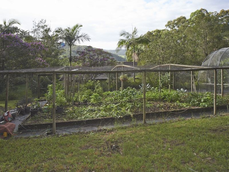 90 The Ridge Way Black Creek, Lorne NSW 2439