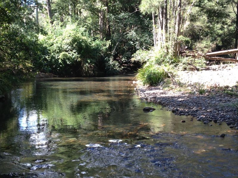 2555 Pappinbarra Road, Pappinbarra NSW 2446