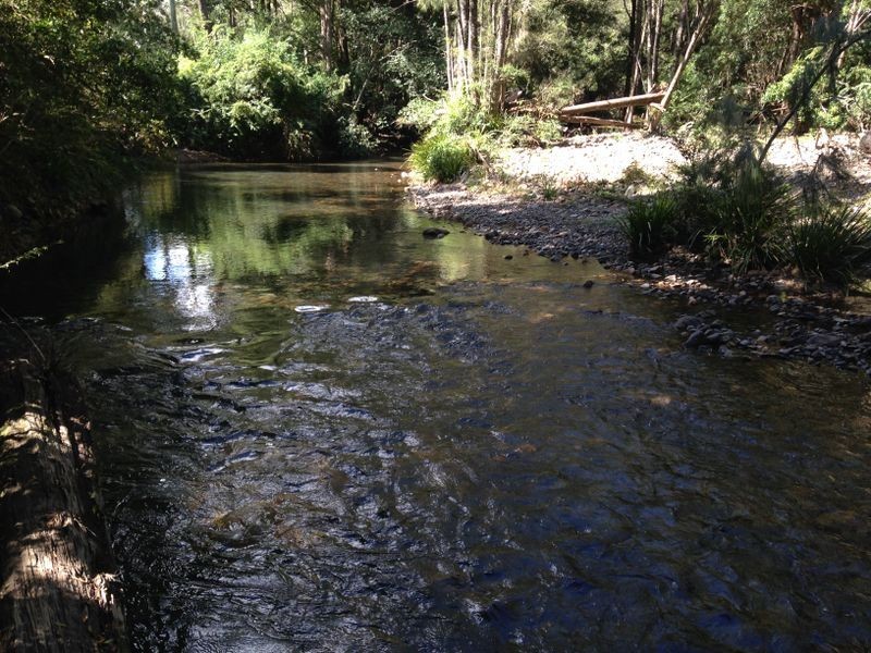 2555 Pappinbarra Road, Pappinbarra NSW 2446