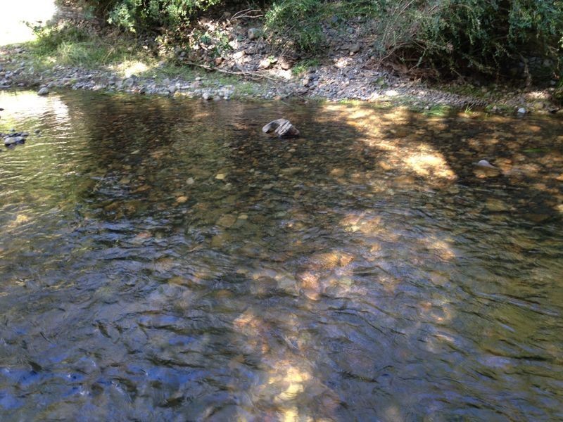 2555 Pappinbarra Road, Pappinbarra NSW 2446