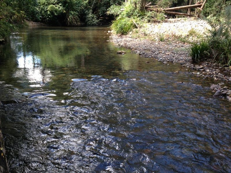 2555 Pappinbarra Road, Pappinbarra NSW 2446