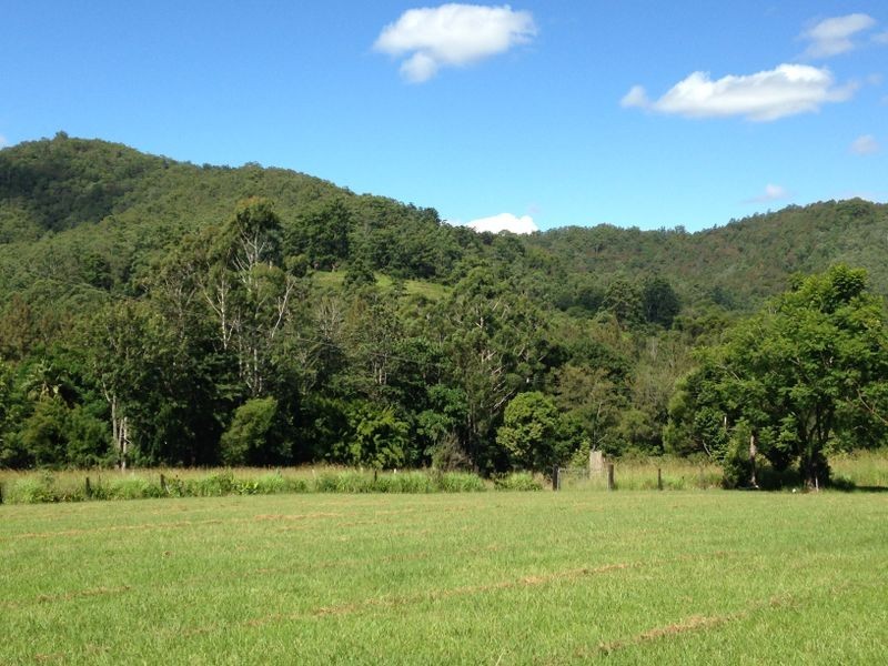 2555 Pappinbarra Road, Pappinbarra NSW 2446