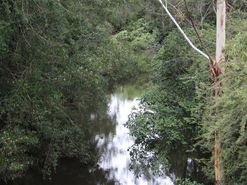 31 Coachwood Close, Beechwood NSW 2446