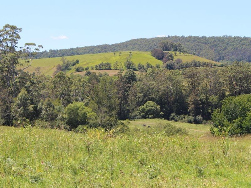 Wauchope NSW 2446