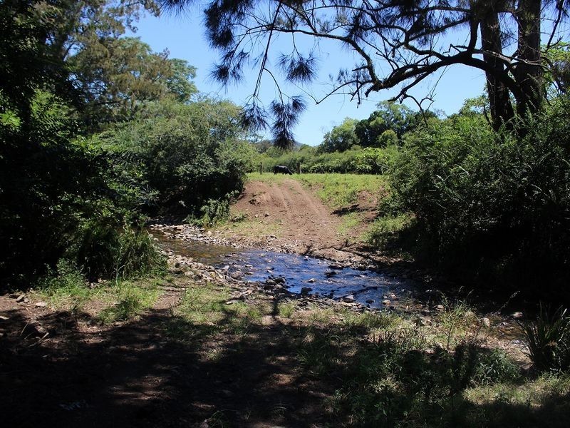 Wauchope NSW 2446